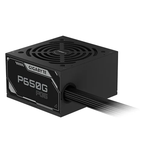 ATX 3.1 650W - 80+ GOLD - P650G PCIE 5.1